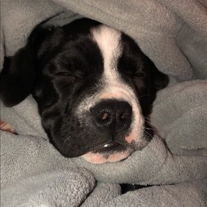 Meet your Posher, Mick